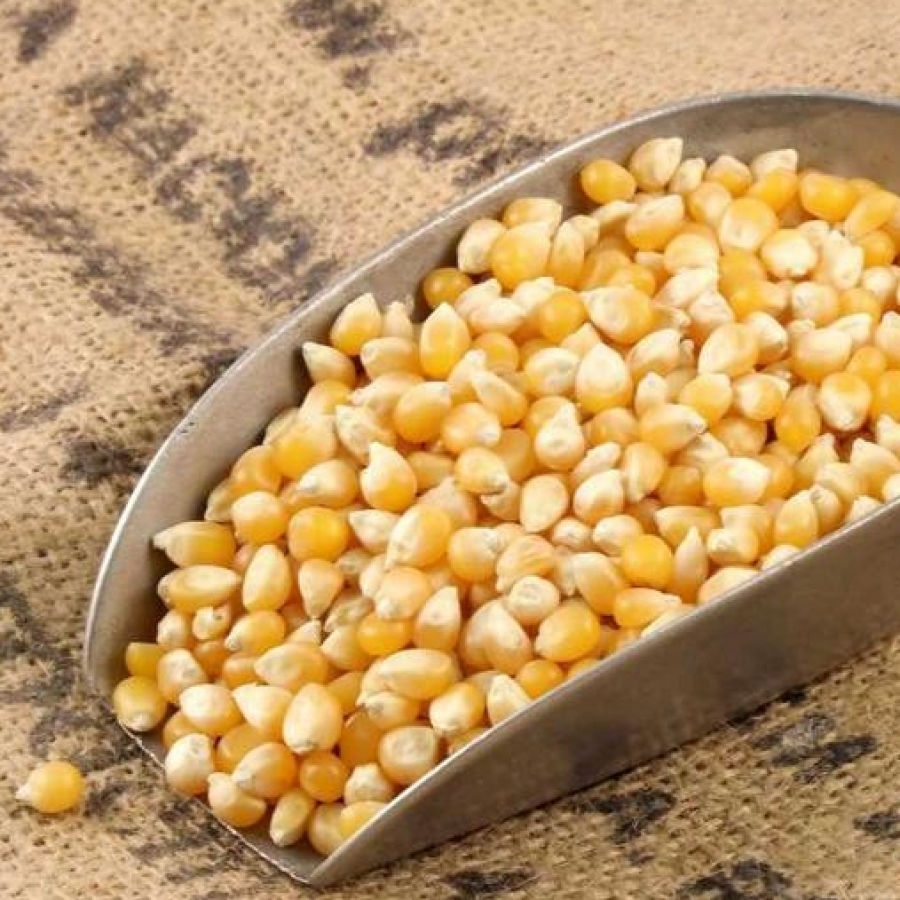 Popcorn Organic - refill