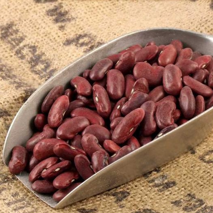 Red Kidney Beans Organic - Refill