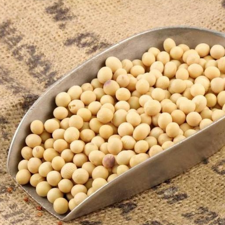 Soya Beans Organic  - Refill