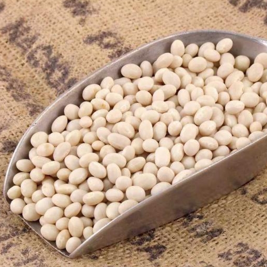 Haricot Beans Organic  - Refill